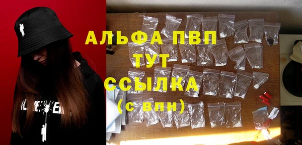 ПСИЛОЦИБИНОВЫЕ ГРИБЫ Ельня