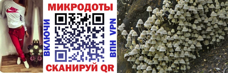 Галлюциногенные грибы GOLDEN TEACHER  Шали 
